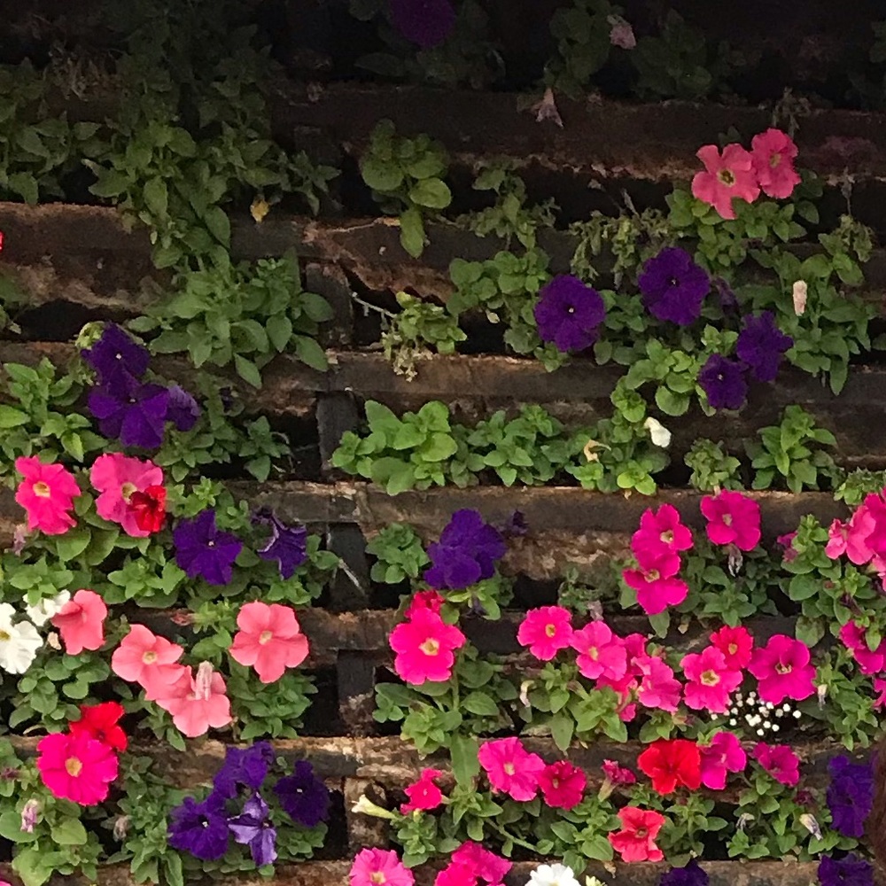 Meet your Posher, Malari